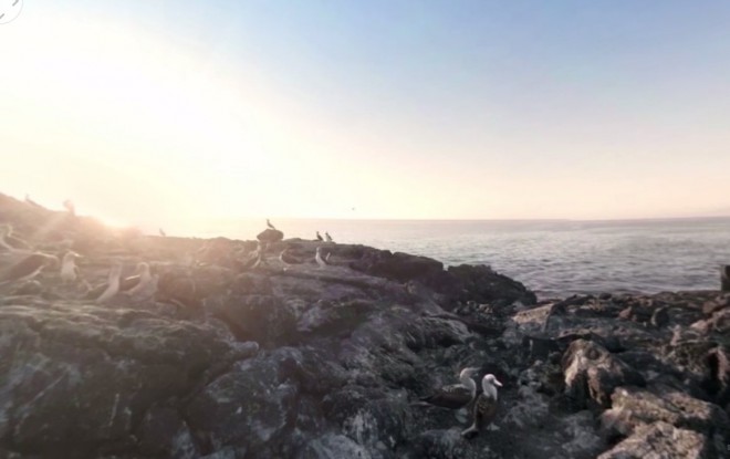 Tým Planeta Země II nás zavede na exotické Galapágy v Tichém oceánu.