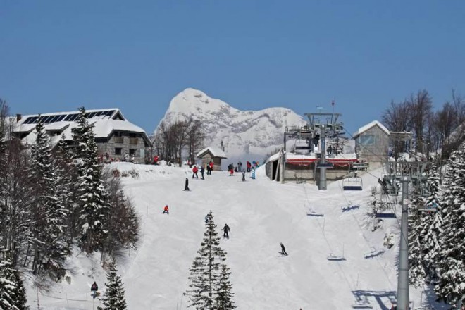 Vogel (foto: Vogel.si)