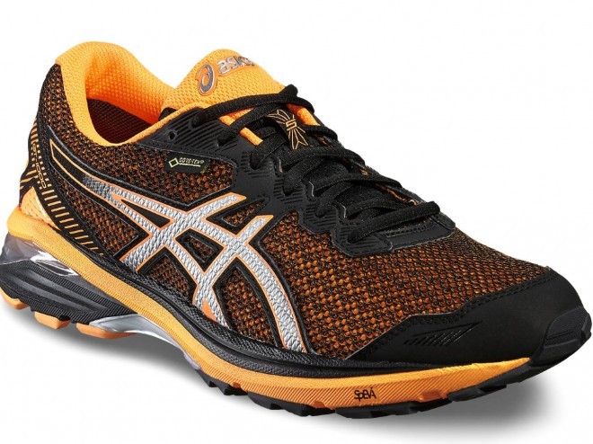 Asics GT-1000 5 GTX
