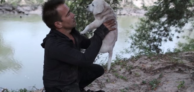 Unfortunately, this is how many a story with a dog begins.
