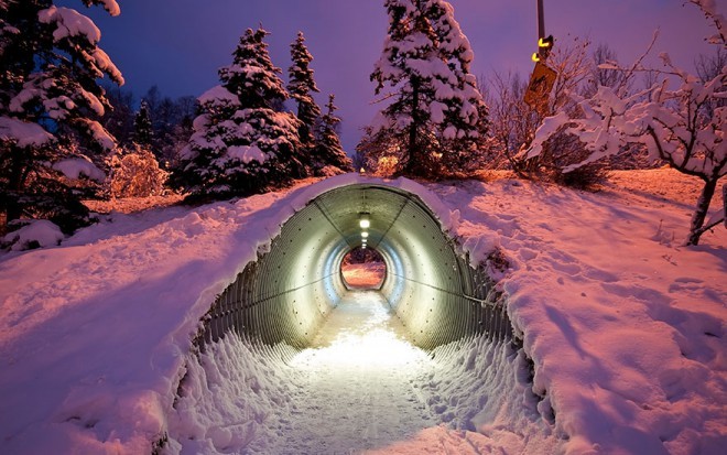 Tunel dla zwierząt w Finlandii.