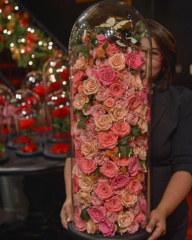 Forever Rose: Blumen, die ewig halten
