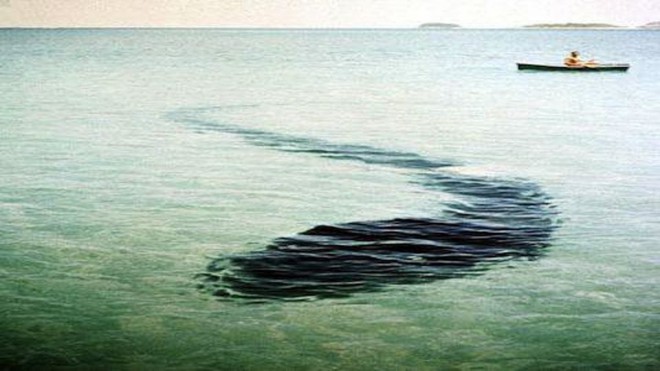 'Pošast' blizu obale otoka Hook Island