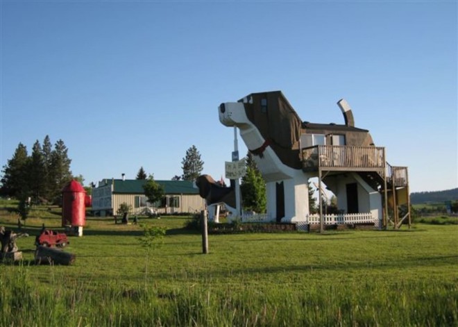 DOG BARK PARK INN, COTTONWOOD (ÉTATS-UNIS)