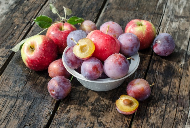Incluso las manzanas y las ciruelas no deben defenderse. 