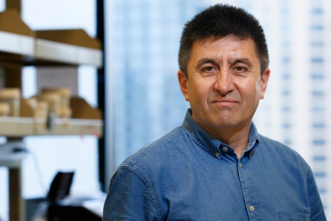 Dr. Mitalipov