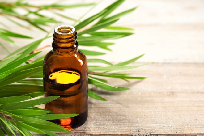 Tea tree olie
