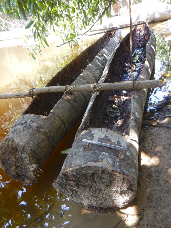 Canoes that are made of hollow logs.