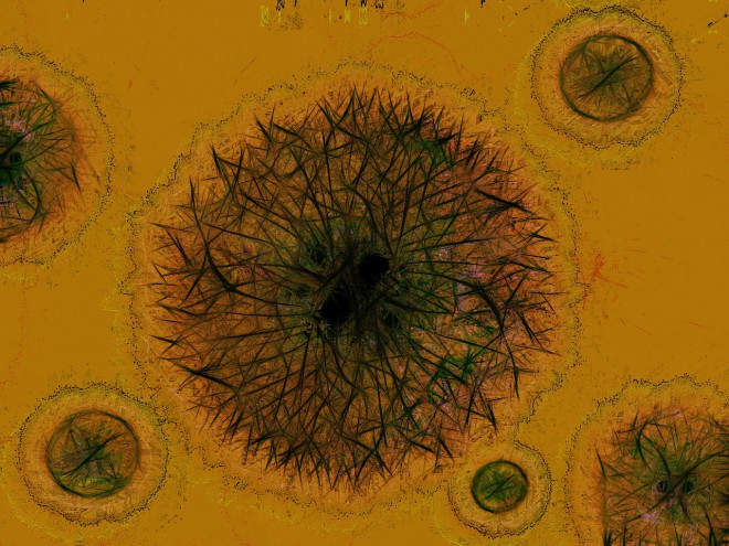 The more you touch your phone, the more bacteria it transfers. 