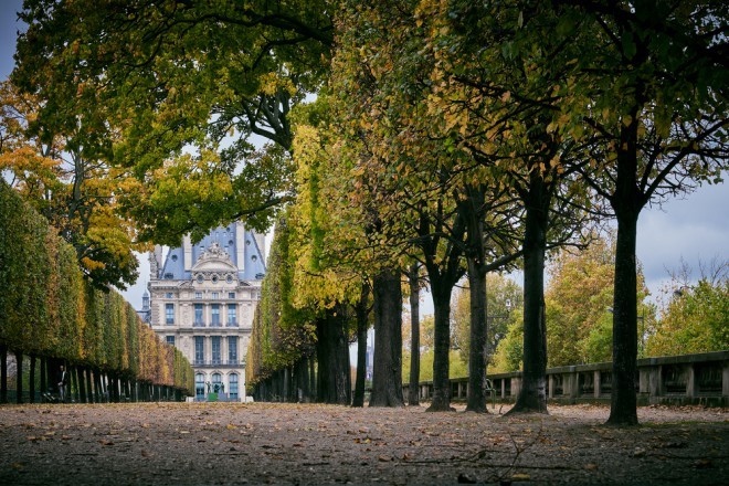 Jardin des Tuileries