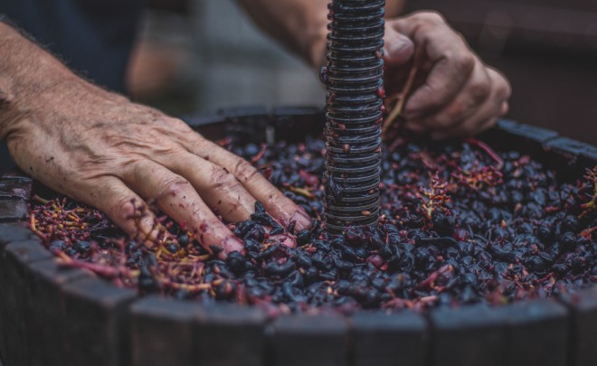 The Slovenian Wine Festival in a new form.