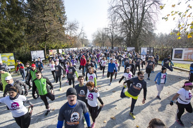 Poslanstvo gibanja Movember (razširjenega po celem svetu) je ozaveščanje o zdravju moških.