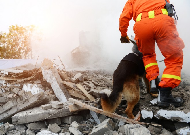 Diz-se que as pessoas nos EUA estão ameaçadas por este “Grande Terremoto”.