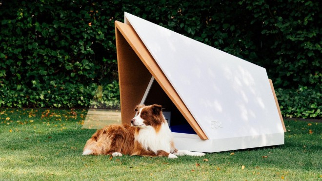The Quiet Kennel serves as a dog sanctuary. 