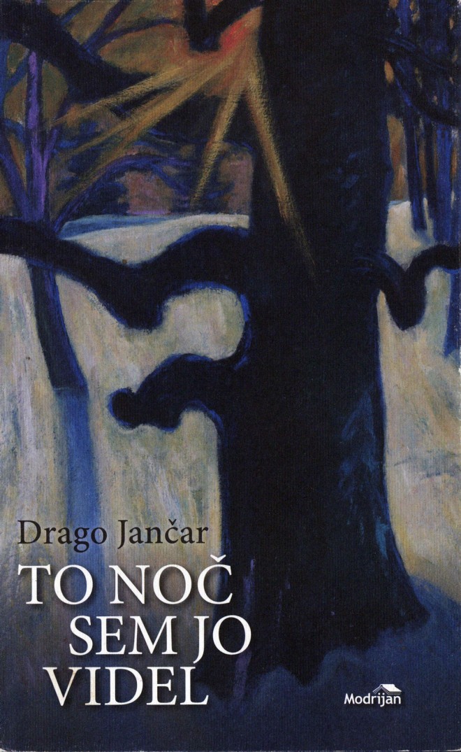 Drago Jančar, To noč sem jo videl