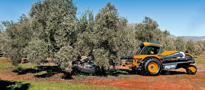 Pellenc Buggy 5000