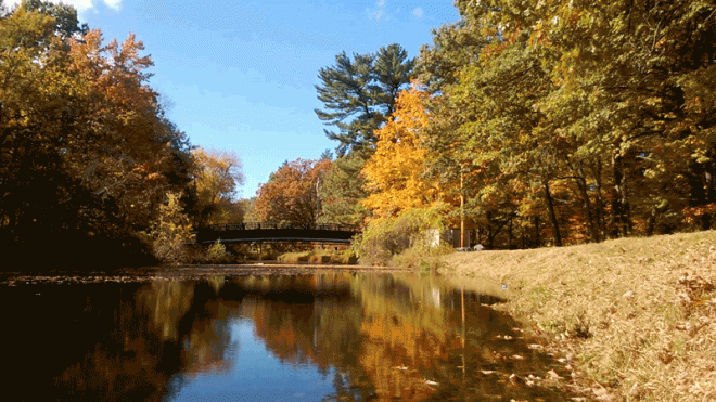 Fall holidays can be wonderful.