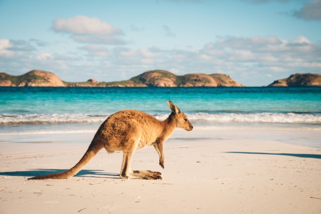 L’Australie est une terre où la nature sauvage et la modernité se rencontrent.