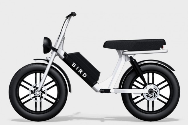 Bird Cruiser