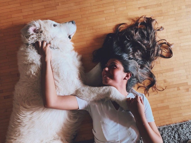 Kuvasz (Foto: IG @vittoriafm)