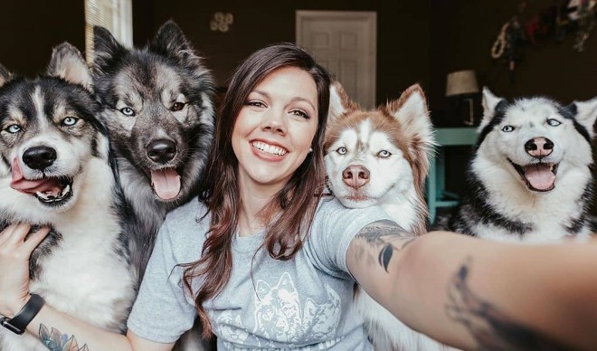 Sibirski haski (Foto: IG @husky.dynasty)