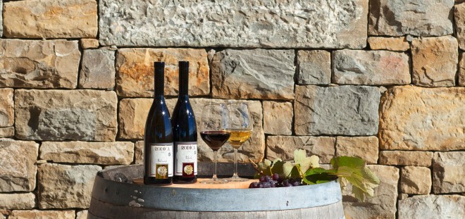 Ekološko vinogradništvo Rodica (Foto: rodica.si)