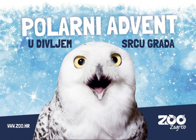 Polar Advent i ZOO Zagreb (Foto: Zagreb Advent)