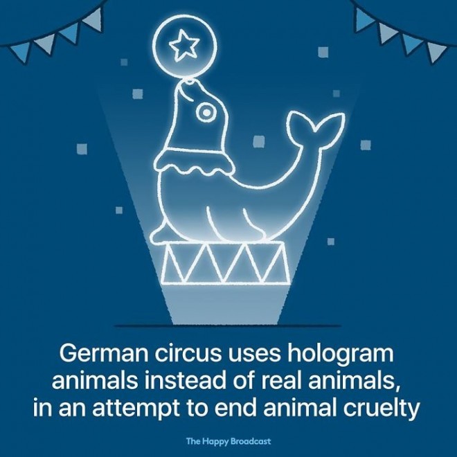 Ein deutscher Zirkus begann mit der Verwendung von Hologrammen anstelle von echten Tieren. 