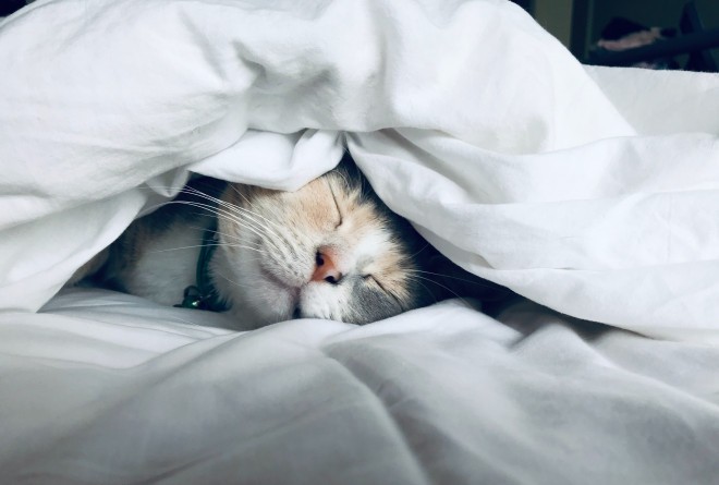 Offrez-vous 8 heures de sommeil !