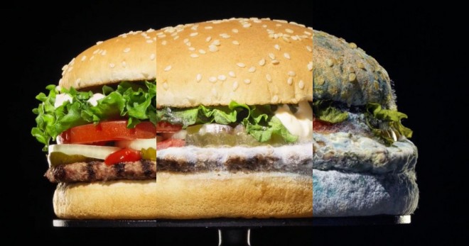 Kaj se v resnici zgodi z burgerjem po 34 dneh od priprave?