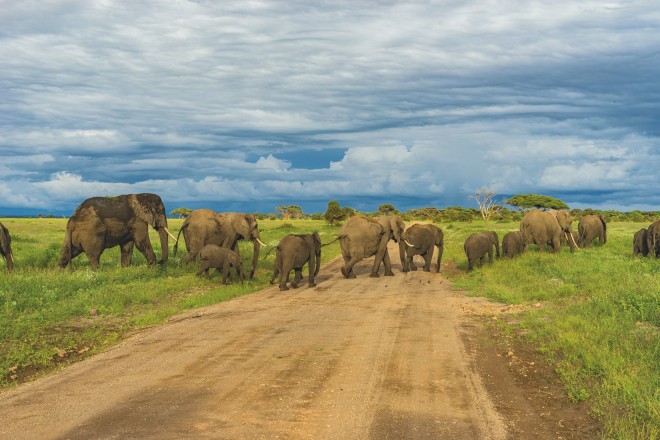 Você prefere admirar os animais em seu ambiente natural. 