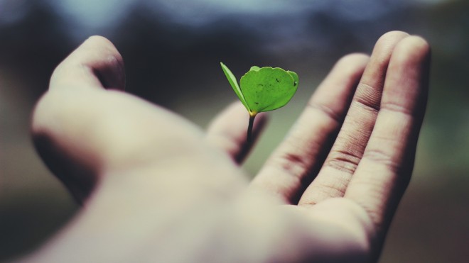 "When life is kind to you, say 'Thank you!' and celebrate it. When life is bitter, say 'Thank you!' and learn.”