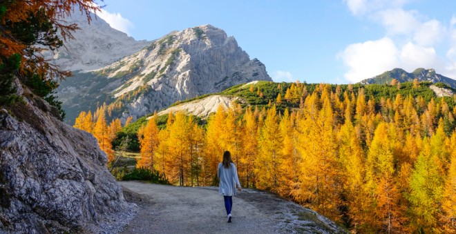 Compared to all women in the EU 28 member states, women in Slovenia stand out for their high level of work activity.