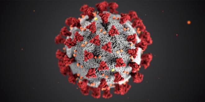 Koronavirus