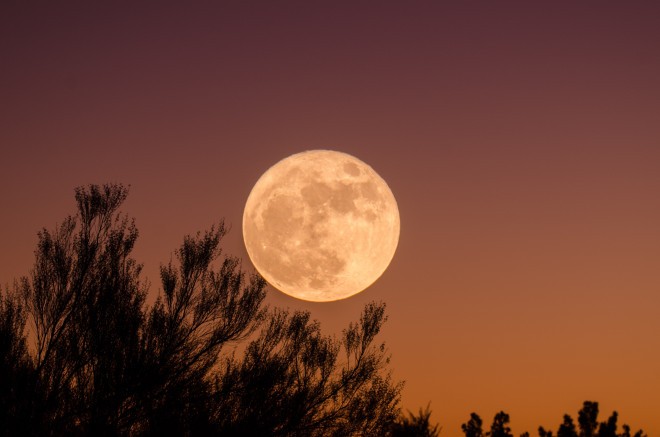 There will be a pink supermoon in the sky today!
