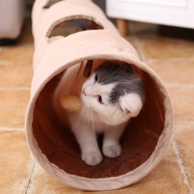 túnel do gato