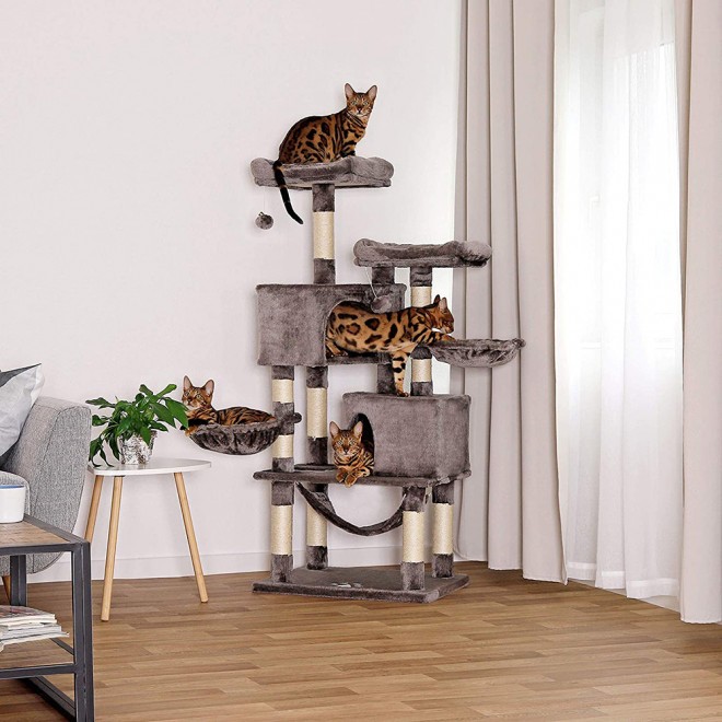casa da arvore/gato