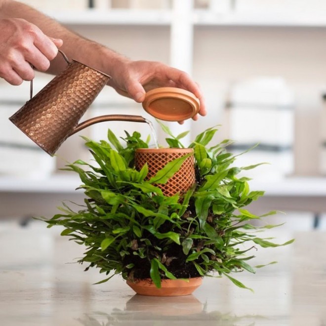 Terraplanter (Foto: IG Terraplanter)