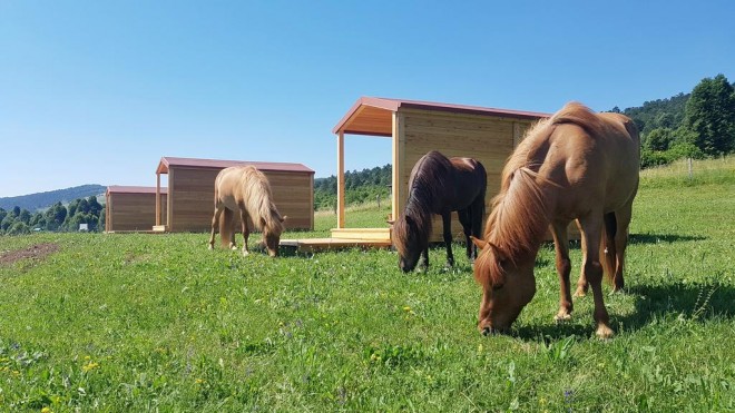 Campeggio e glamping Sunrise Hill (Foto: Booking.com)