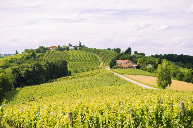 Agriturismo Puklavec (Foto: Booking.com)