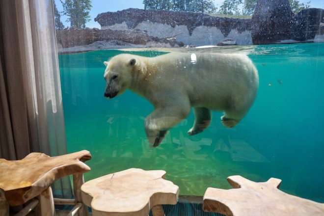 Pairi Daiza Resort