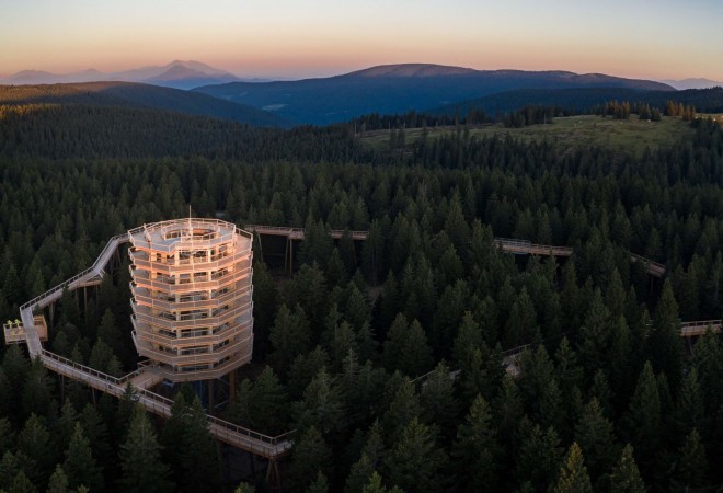 Cesta medzi baldachýnom Pohorje na Rogla (Foto: potmedkrosnjamipohorje.si)