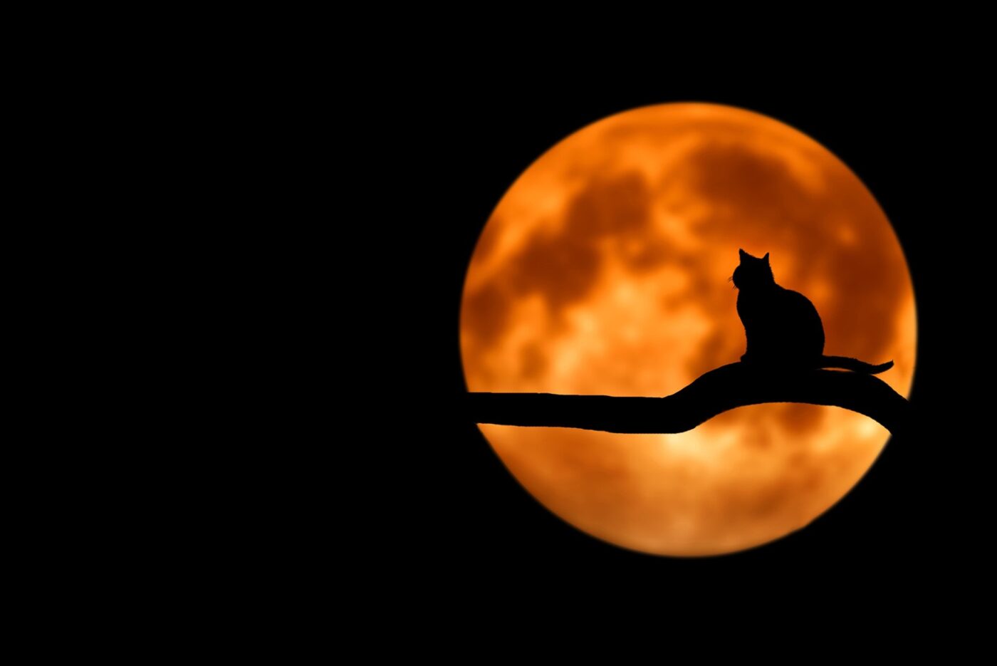 Foto: Pixabay / pexels