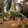 Shrek's Swamp