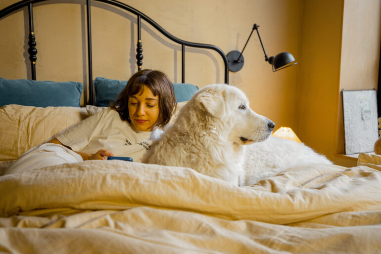 cama de cachorro