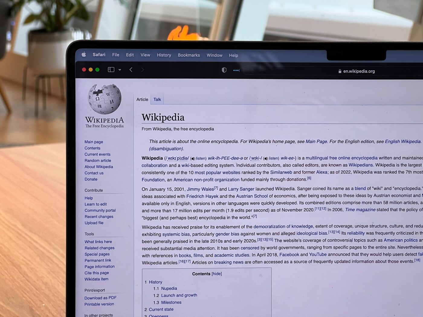 iskali na spletu v letu 2023