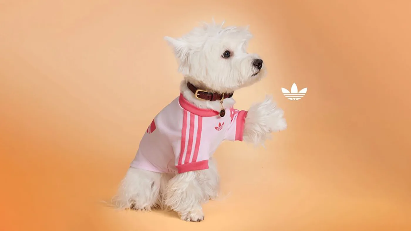 Adidas Originals Pets