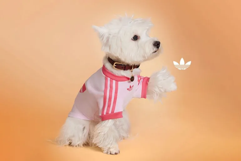 Adidas Originals Pets