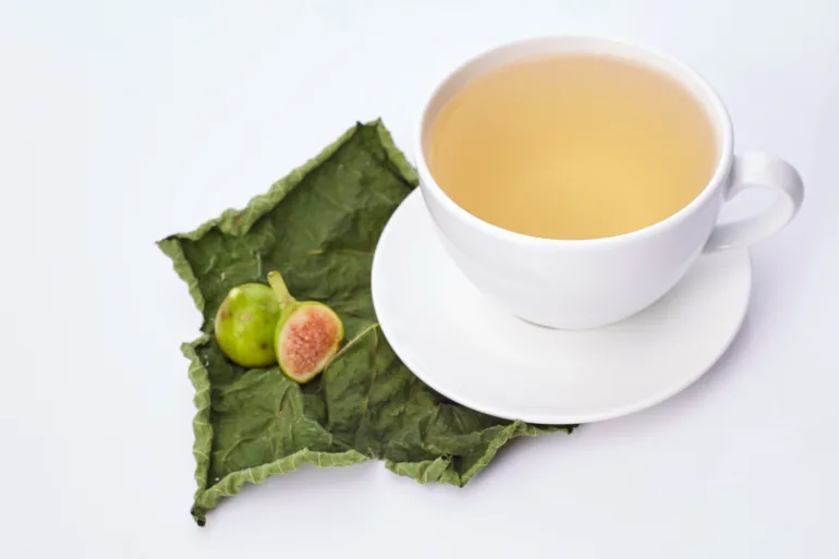fig leaf tea