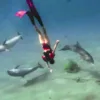 KikFin Shark Underwater Jet Pack